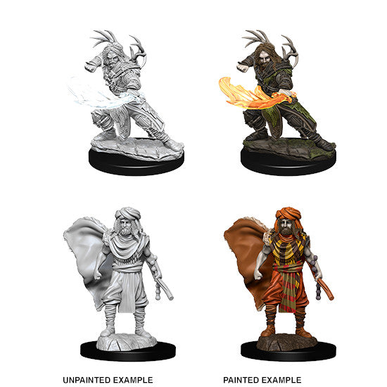 D&D Nolzur's Marvelous Miniatures: Male Human Druid