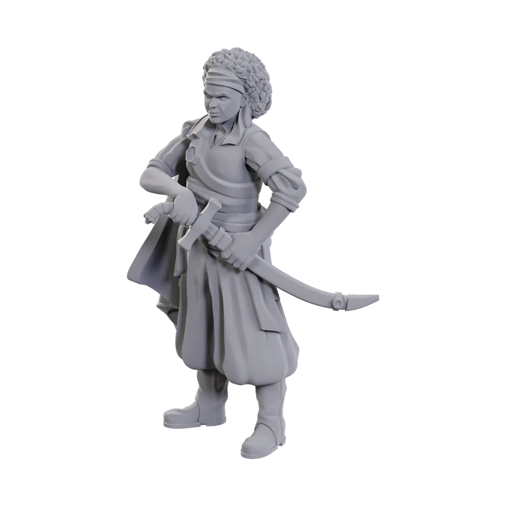Dungeons & Dragons Nolzur's Marvelous Miniatures: Ansalon Human Rogue