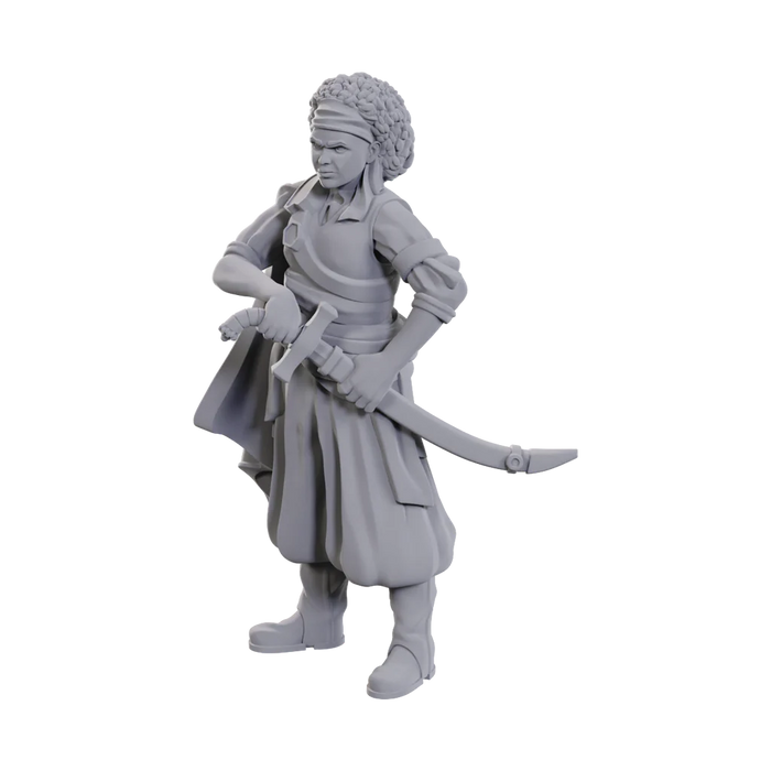 Dungeons & Dragons Nolzur's Marvelous Miniatures: Ansalon Human Rogue