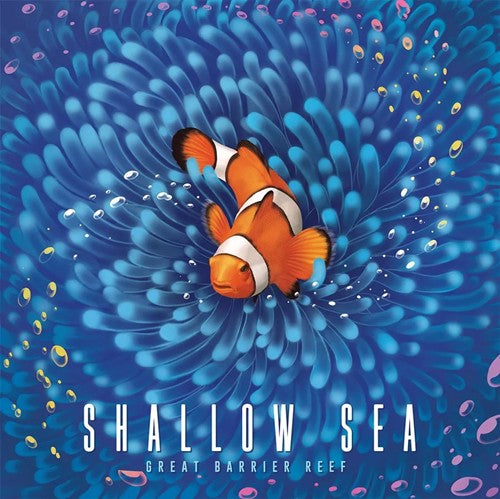 Shallow Sea Board Game