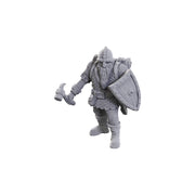 D&D Nolzur's Marvelous Miniatures - Dwarves - Limited Edition 50th Anniversary - Wizkids