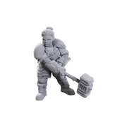 D&D Nolzur's Marvelous Miniatures - Dwarves - Limited Edition 50th Anniversary - Wizkids