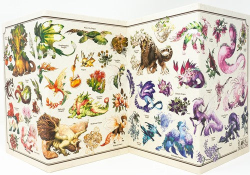 The Field Guide To Floral Dragons RPG GM Screen - Hit Point Press