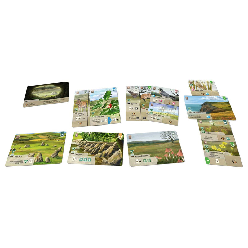 Forest Shuffle Card Game: Dartmoor - Exmoor Expansion