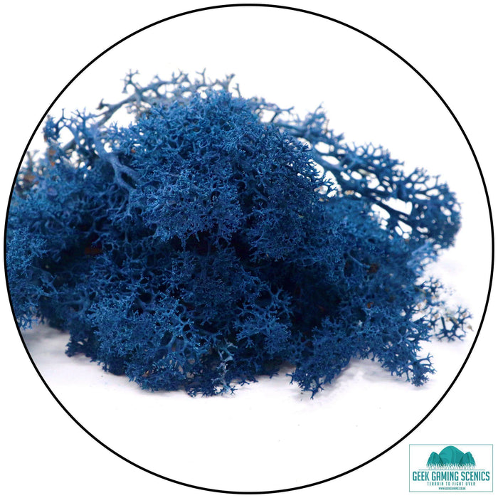 Lichen - Reindeer Moss (Icelandic Moss) Dark blue