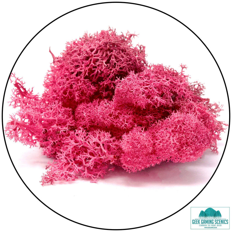 Lichen - Reindeer Moss (Icelandic Moss) Fuschia - Geek Gaming Scenics