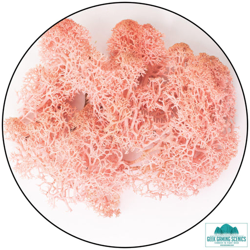 Lichen - Reindeer Moss (Icelandic Moss) Rose - Geek Gaming Scenics