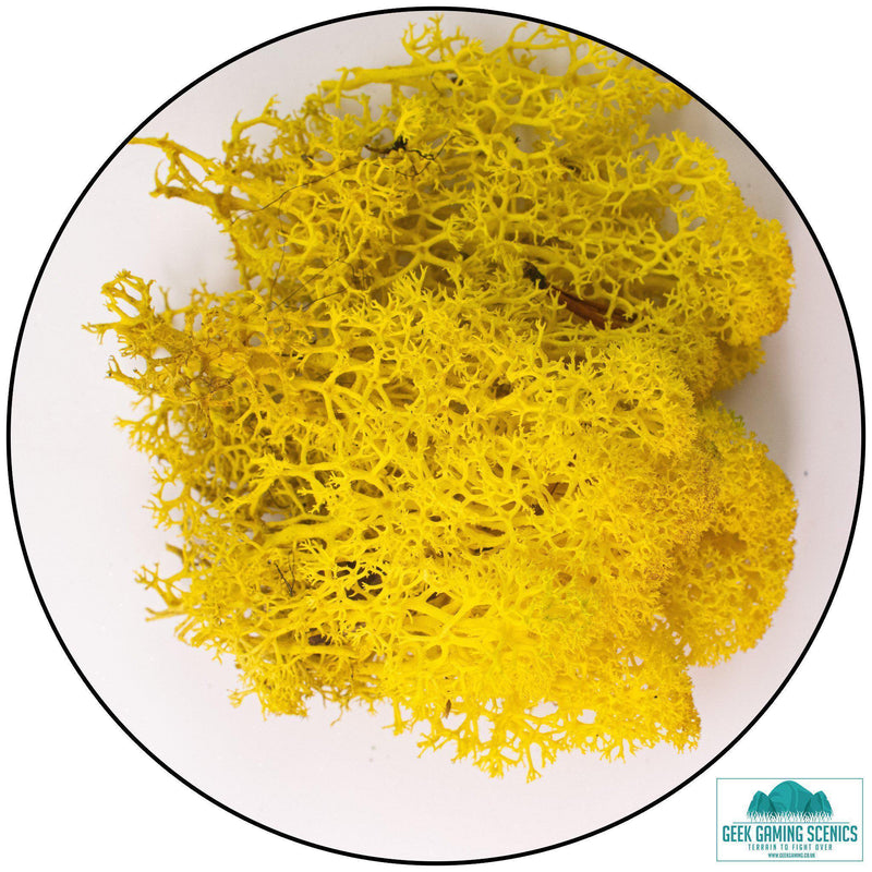 Lichen - Reindeer Moss (Icelandic Moss) Yellow - Geek Gaming Scenics