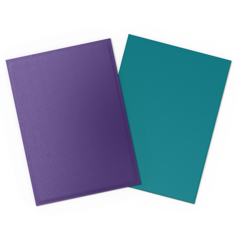 Soul & Petrol Standard Size Matte Dual Sleeves - Dragon Shield