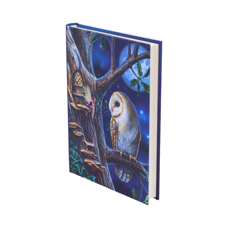 Fairy Tales - Lisa Parker Journal - Nemesis Now