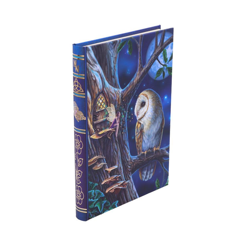 Fairy Tales - Lisa Parker Journal - Nemesis Now
