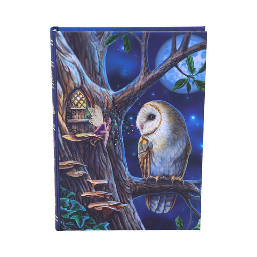 Fairy Tales - Lisa Parker Journal - Nemesis Now