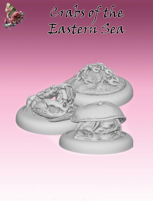 Crabs of the Eastern Sea - Jung Pirates - GCT Studios