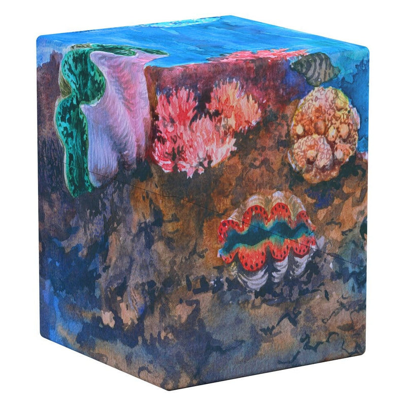 Coral Places - Seablue Hush - Return To Earth Boulder 100+ - Ultimate Guard