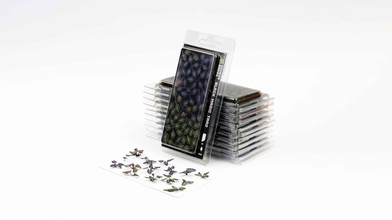 Gamers Grass - Laser Plants - Black Magic Taro - Gamers Grass