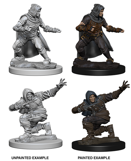Pathfinder Deep Cuts Unpainted Miniatures: Human Male Rogue - Wizkids