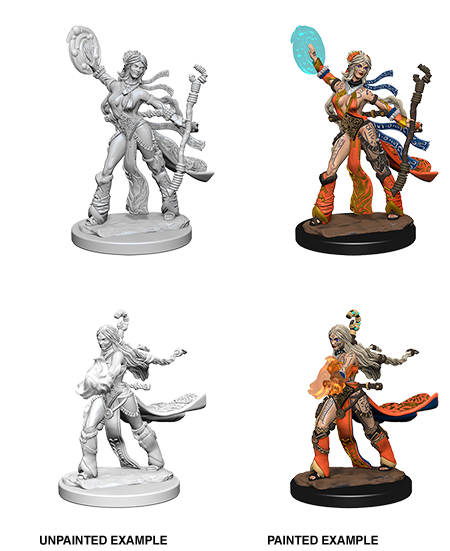 Pathfinder Deep Cuts Unpainted Miniatures: Human Female Sorcerer - Wizkids