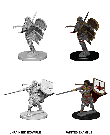 Pathfinder Deep Cuts Unpainted Miniatures: Human Female Paladin - Wizkids