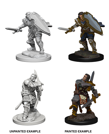D&D Nolzur's Marvelous Miniatures: Male Human Paladin - Wizkids