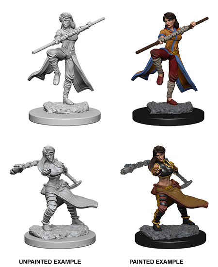 D&D Nolzur's Marvelous Miniatures: Female Human Monk - Wizkids