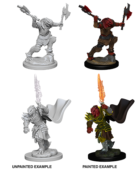 D&D Nolzur's Marvelous Miniatures: Female Dragonborn Fighter - Wizkids
