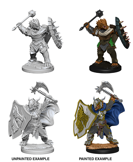D&D Nolzur's Marvelous Miniatures: Dragonborn Paladin - Male - Wizkids