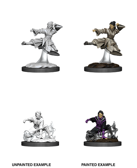 D&D Nolzur's Marvelous Miniatures: Female Human Monk - Wizkids