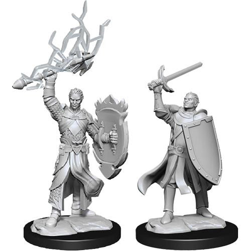 Nolzurs Marvelous Miniatures: Half-Elf Paladin Male - Wizkids