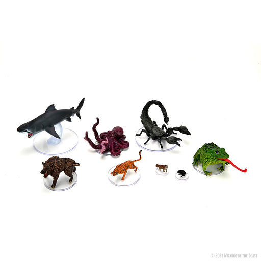 D&D Icons of the Realms: Wild Shape & Polymorph Set 1 - Wizkids