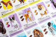Dog Park Standard Edition - Birdwood Games