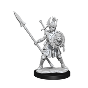 D&D Frameworks: Human Fighter Female - Wizkids