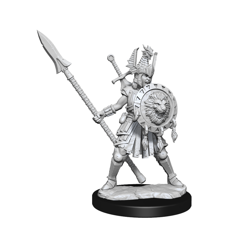 D&D Frameworks: Human Fighter Female - Wizkids
