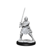 D&D Frameworks: Human Fighter Female - Wizkids