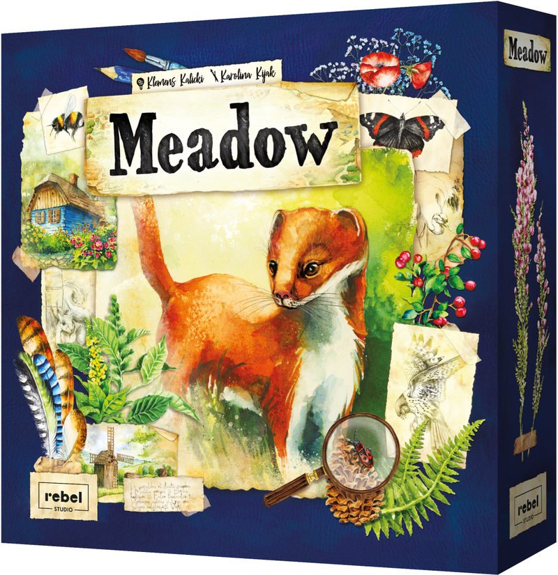 Meadow - Rebel