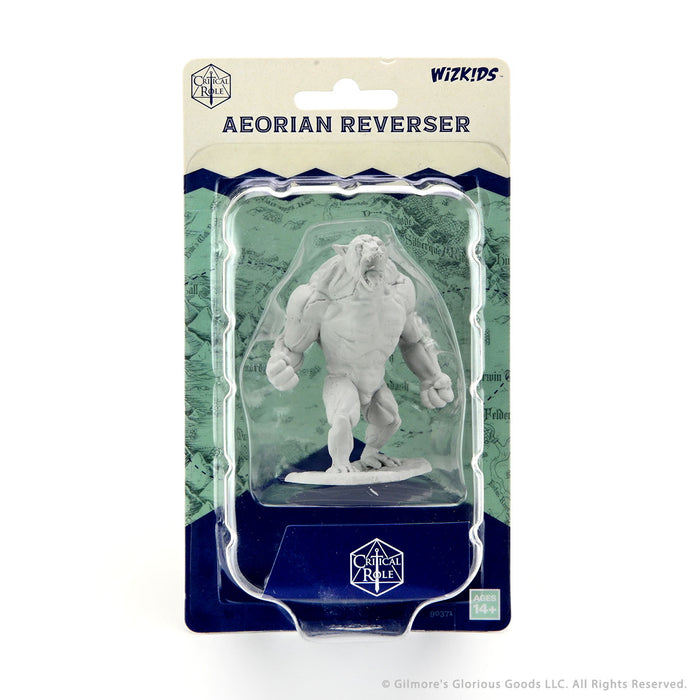 Critical Role Unpainted Miniatures: Aeorian Reverser - Wizkids