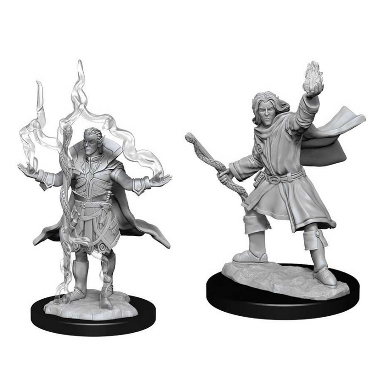 Pathfinder Deepcuts: Elf Sorcerer Male - Wizkids