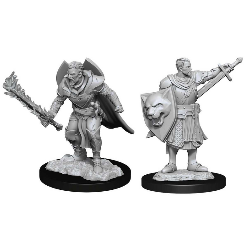 Pathfinder Deepcuts: Human Champion Male - Wizkids