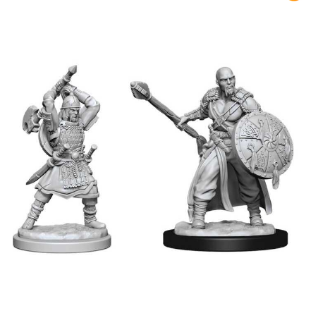 D&D Nolzur's Marvelous Miniatures: Human Barbarian Male - Wizkids