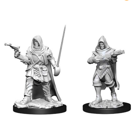 Pathfinder Deepcuts: Human Rogue Male - Wizkids