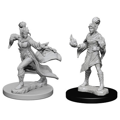 Pathfinder Deep Cuts Unpainted Minis: Elf Female Sorcerer - Wizkids