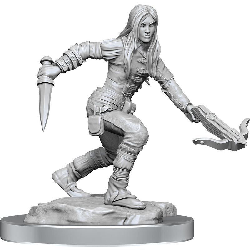 D&D Nolzur's Marvelous Miniatures: Half-Elf Rogue Female - Wizkids