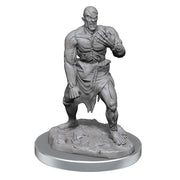 D&D Nolzur's Marvelous Miniatures: Flesh Golems - Wizkids