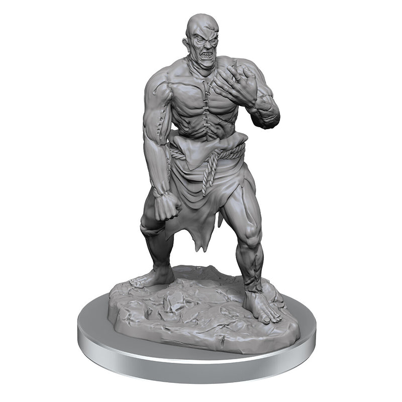 D&D Nolzur's Marvelous Miniatures: Flesh Golems - Wizkids