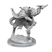 Pathfinder Deep Cuts: Serpentfolk - Wizkids