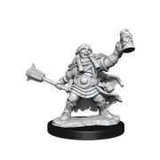 D&D Frameworks: Dwarf Cleric Female - Wizkids