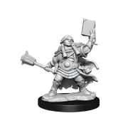 D&D Frameworks: Dwarf Cleric Female - Wizkids