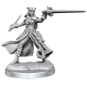 D&D Frameworks: Tiefling Rogue Female - Wizkids