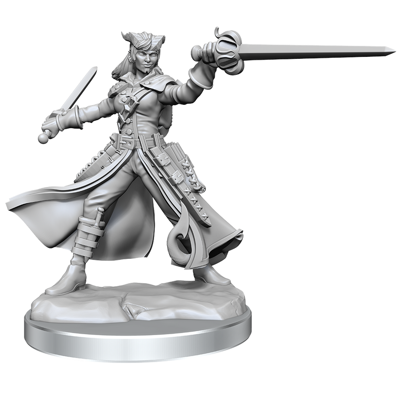 D&D Frameworks: Tiefling Rogue Female - Wizkids