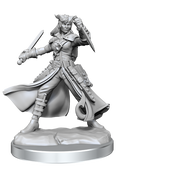 D&D Frameworks: Tiefling Rogue Female - Wizkids