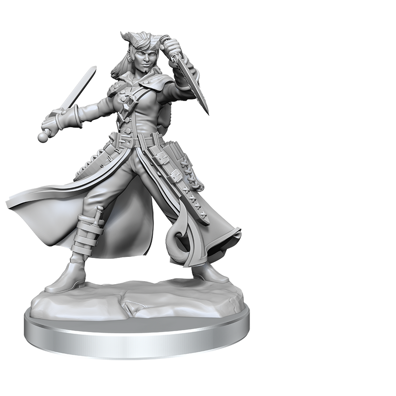 D&D Frameworks: Tiefling Rogue Female - Wizkids